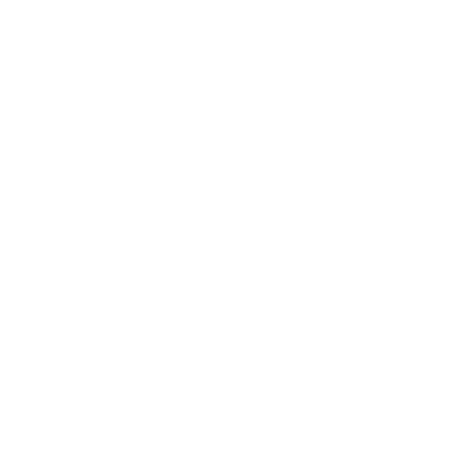 Abordaje Integral del Adulto